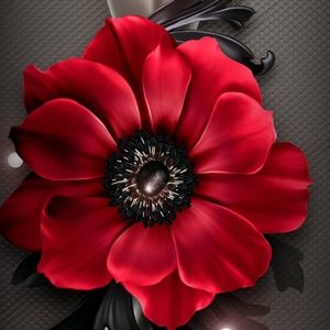 Meet your Posher, Debra